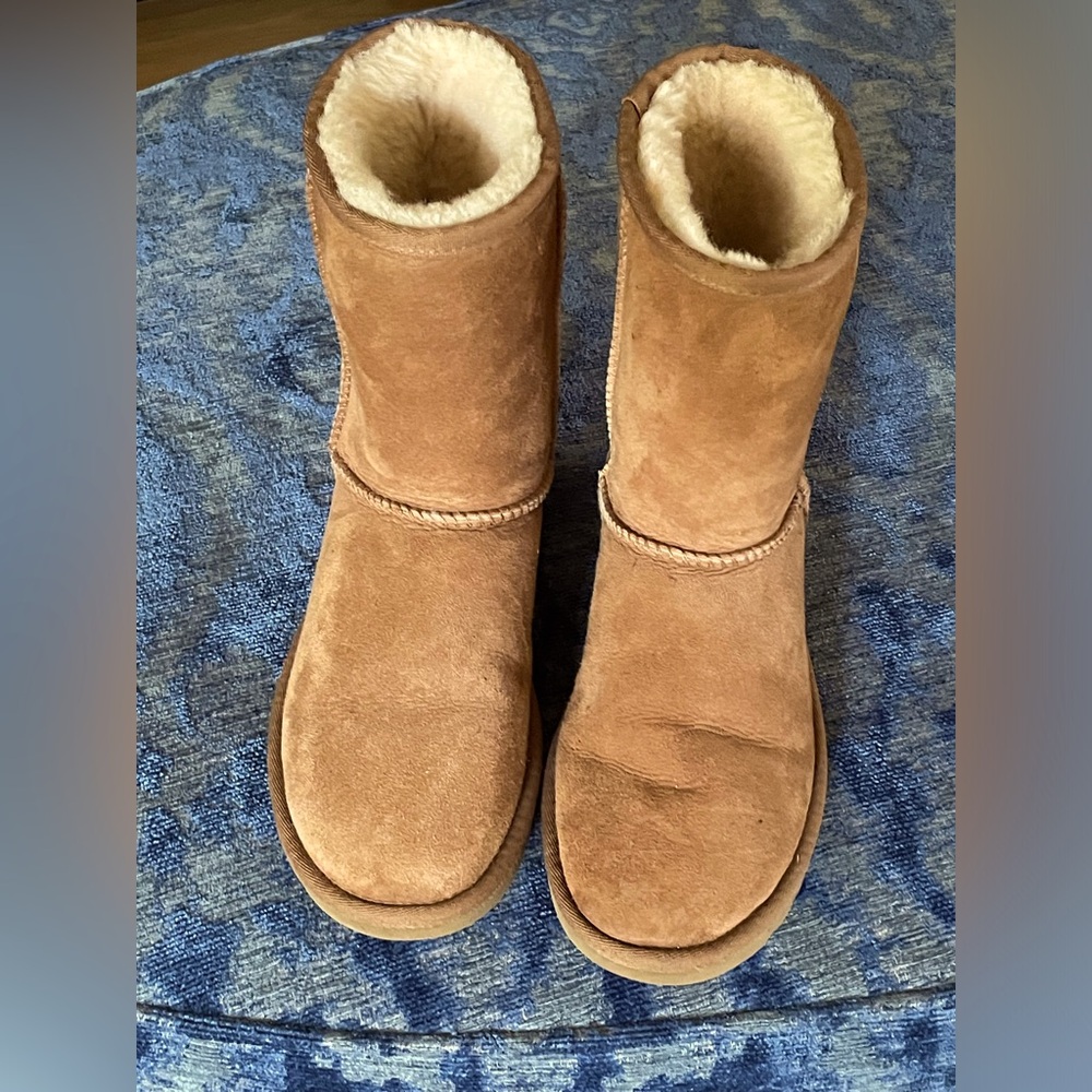 Chestnut color Uggs
